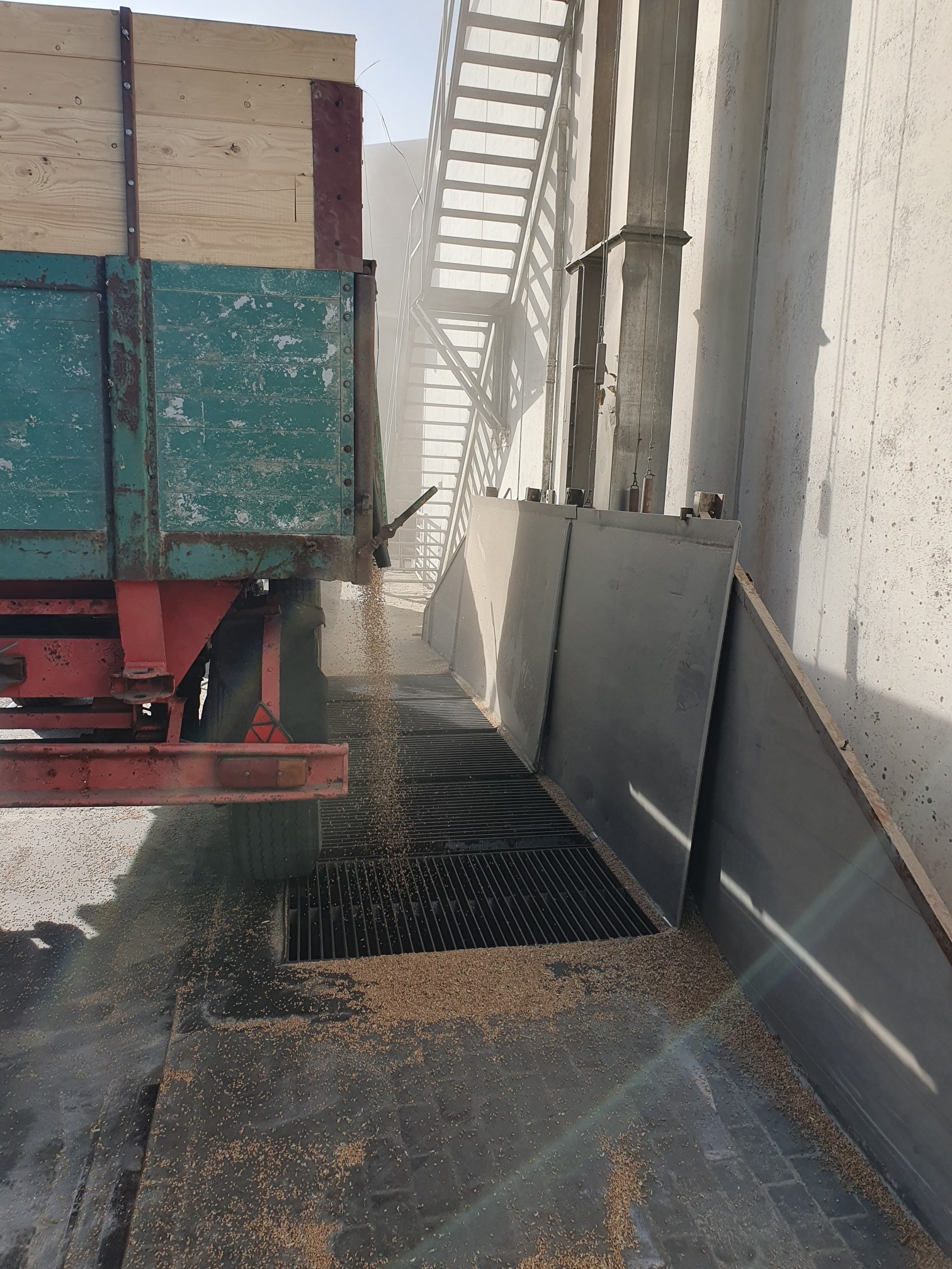 newsimages/151-Ernte 2025 Abladen Marienhafe.jpg